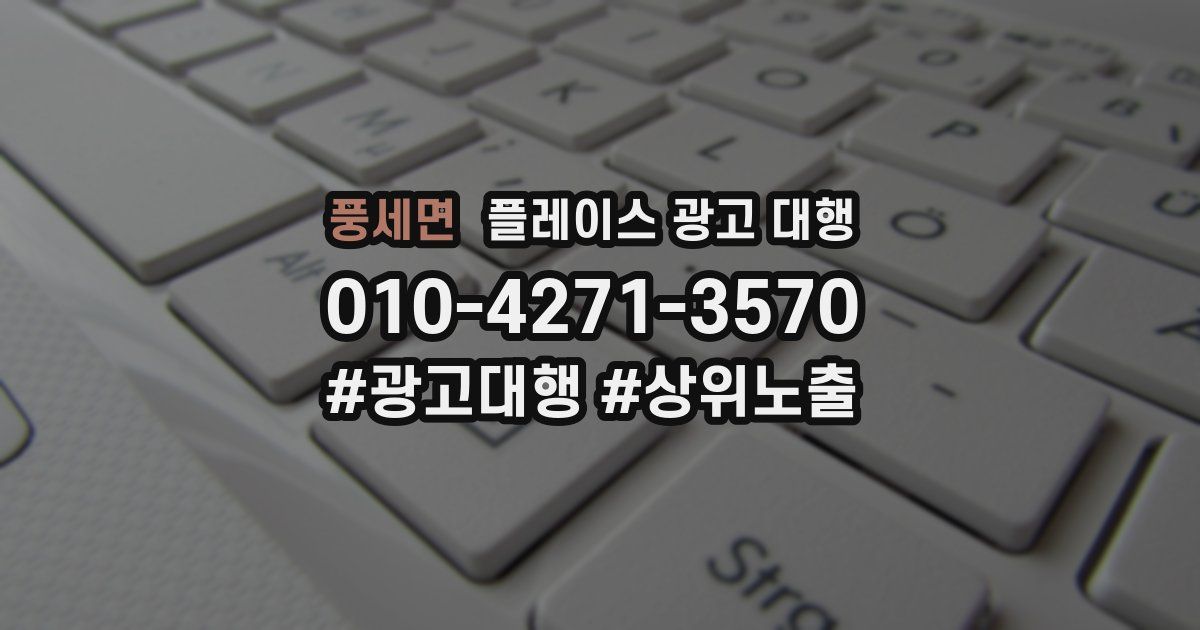 풍세면 플레이스 광고 대행