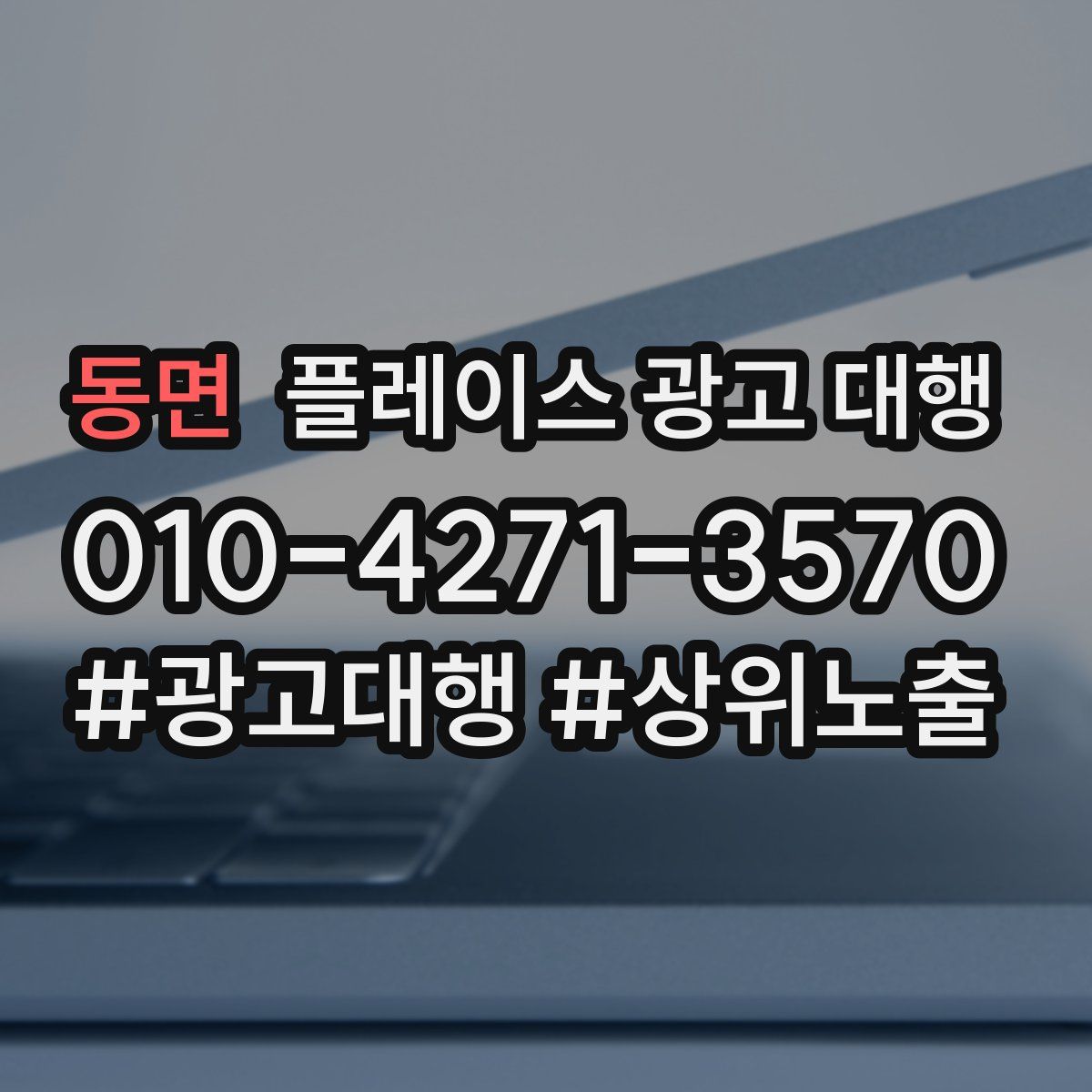 동면 플레이스 광고 대행