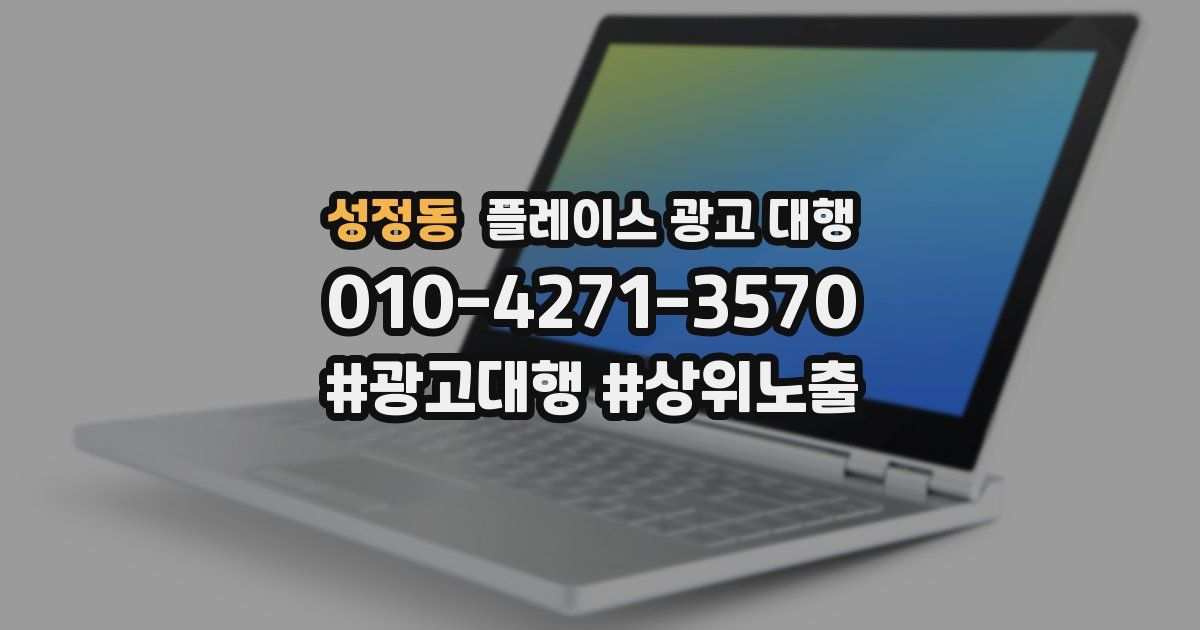 성정동 플레이스 광고 대행