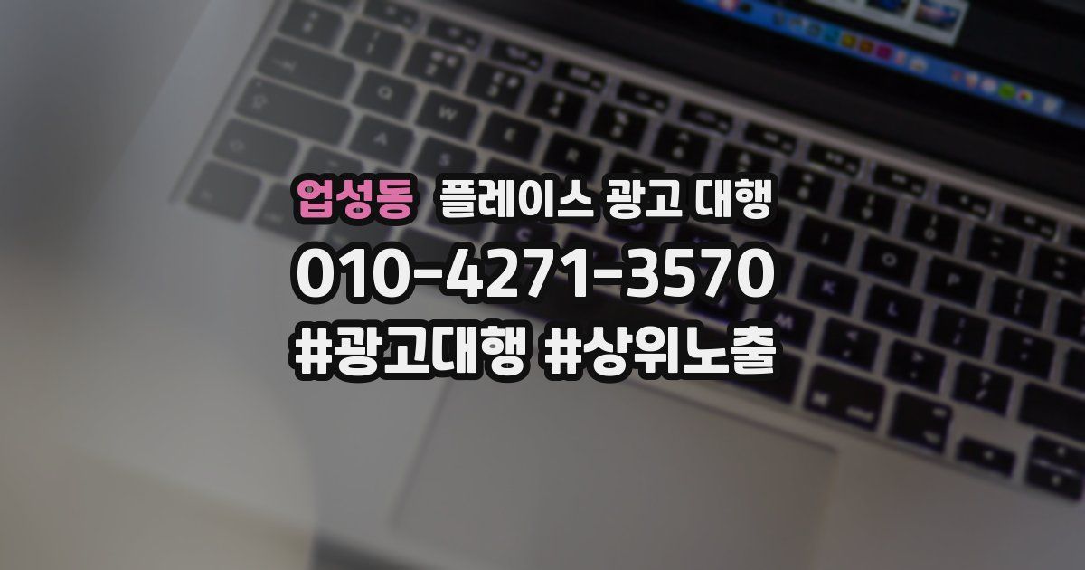업성동 플레이스 광고 대행