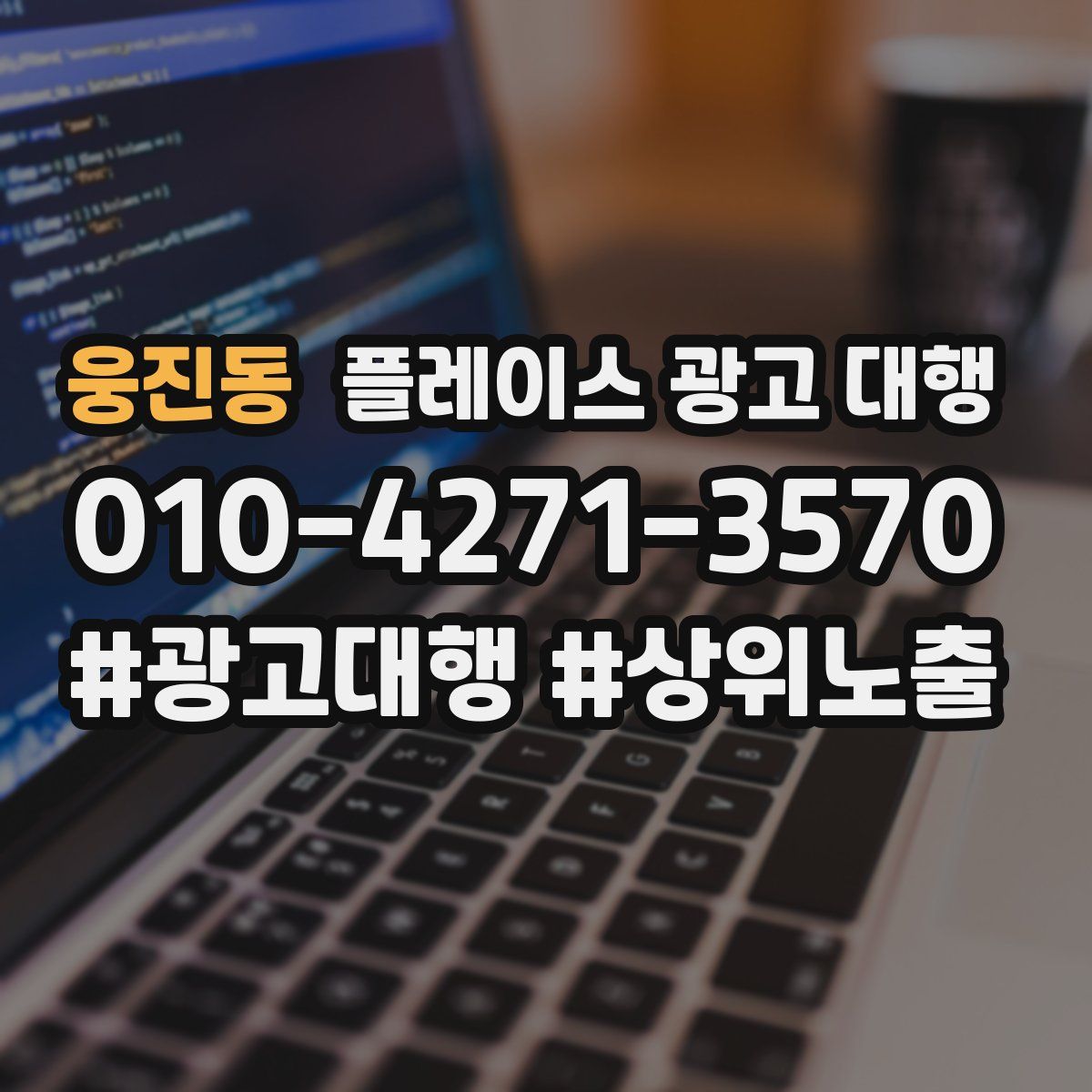 웅진동 플레이스 광고 대행