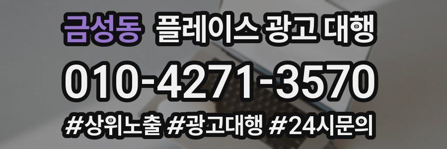 금성동 플레이스 광고 대행