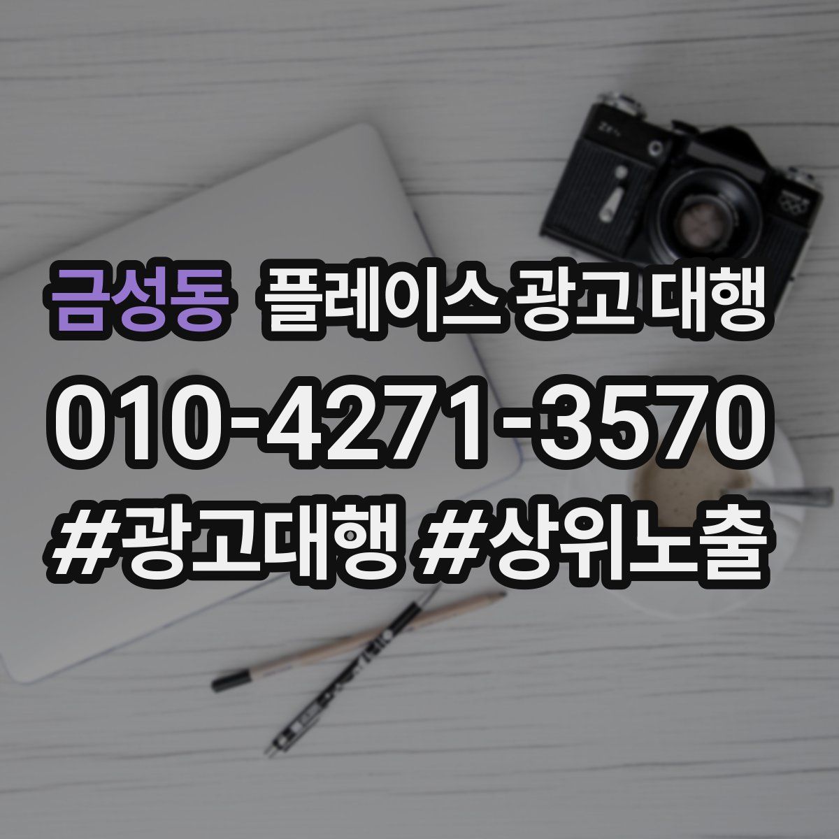 금성동 플레이스 광고 대행