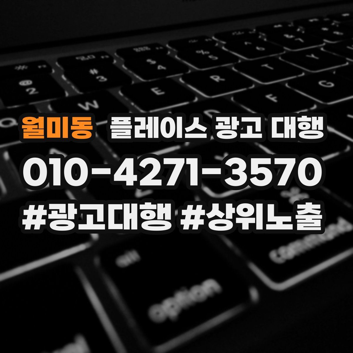 월미동 플레이스 광고 대행