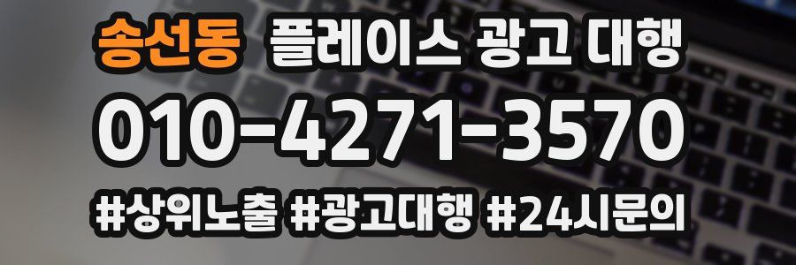 송선동 플레이스 광고 대행