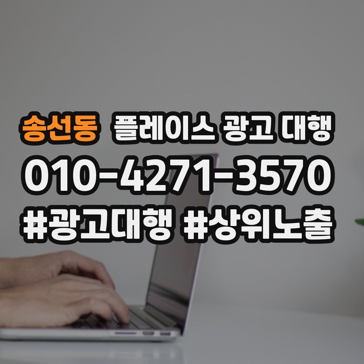 송선동 플레이스 광고 대행