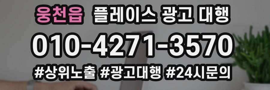 웅천읍 플레이스 광고 대행