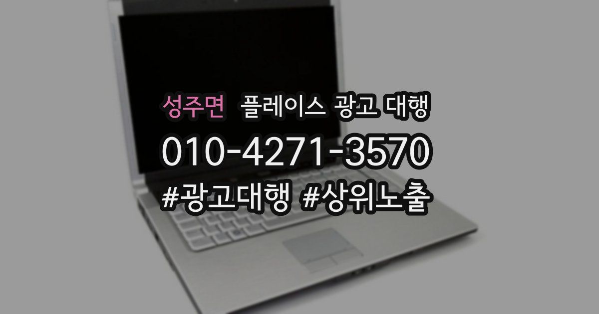 성주면 플레이스 광고 대행