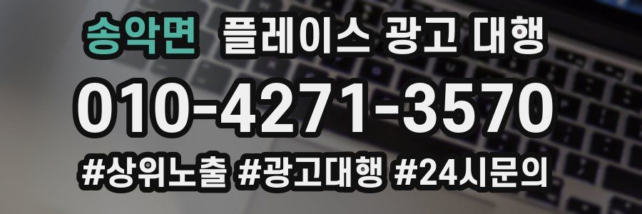 송악면 플레이스 광고 대행