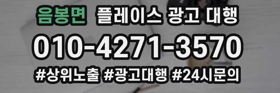 음봉면 플레이스 광고 대행