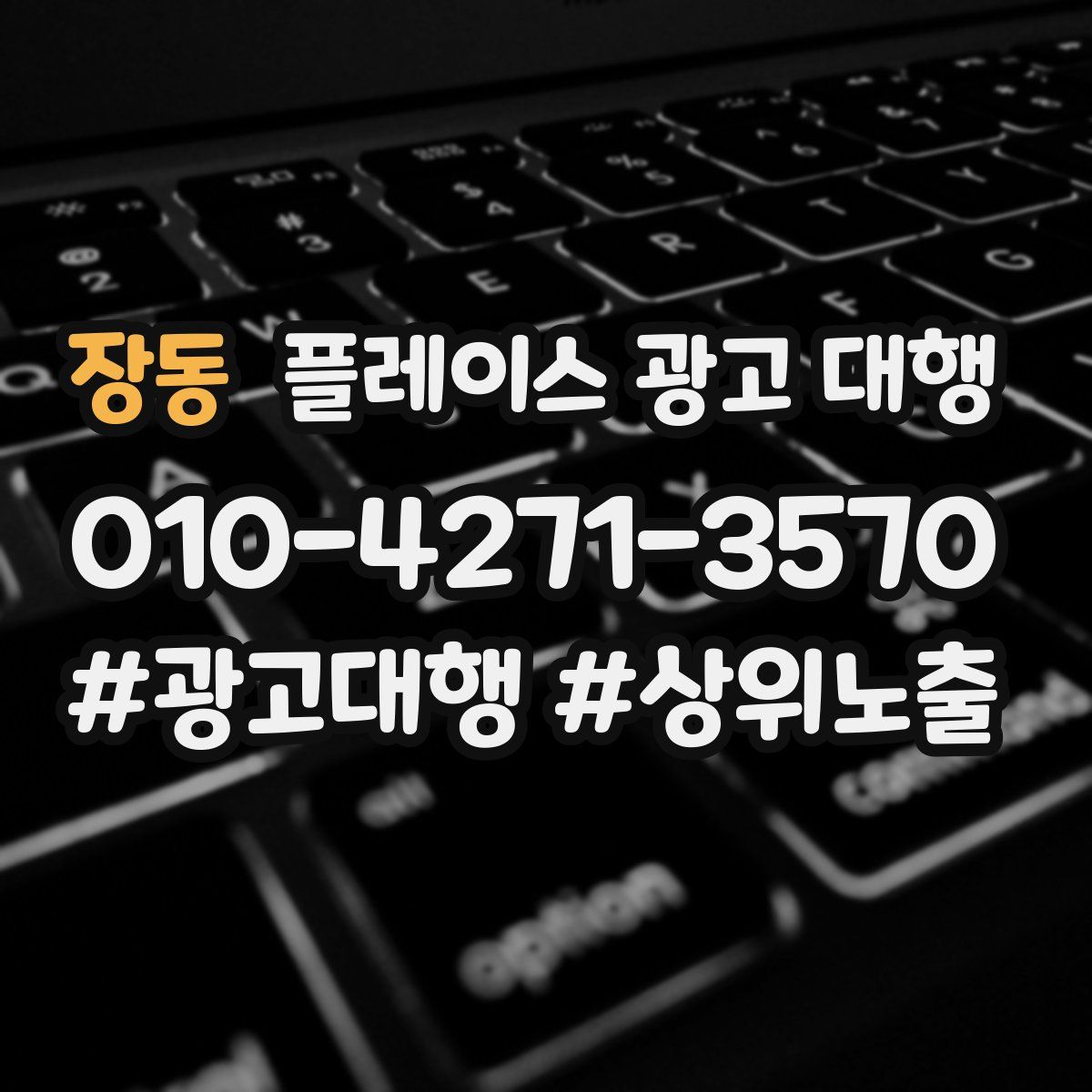 장동 플레이스 광고 대행