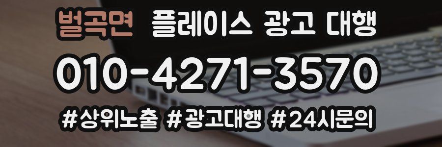 벌곡면 플레이스 광고 대행