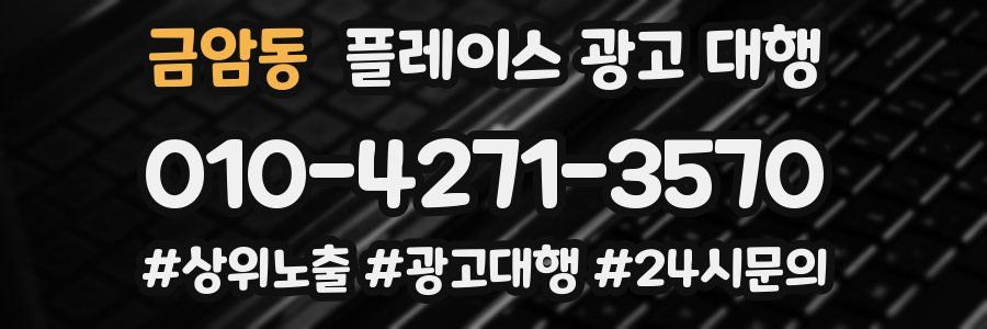 금암동 플레이스 광고 대행