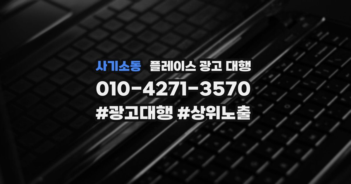 사기소동 플레이스 광고 대행
