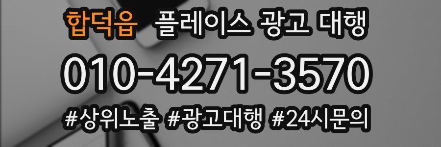 합덕읍 플레이스 광고 대행