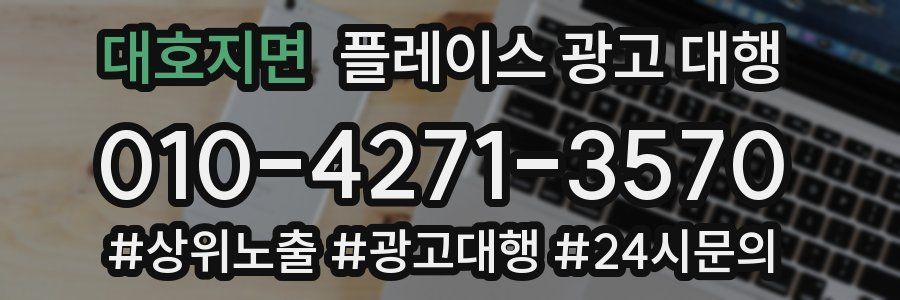 대호지면 플레이스 광고 대행