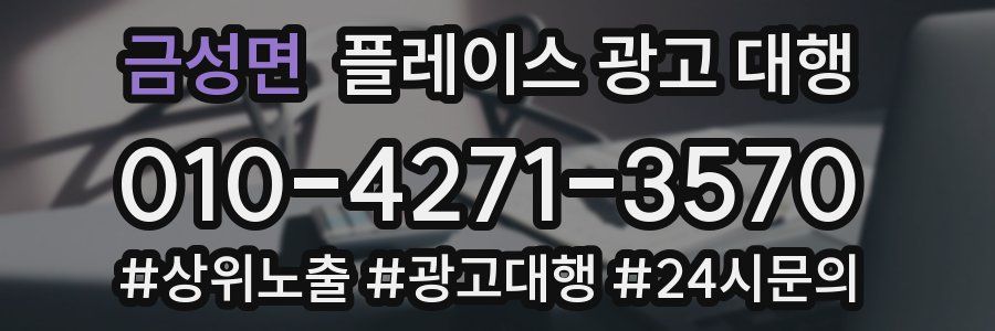 금성면 플레이스 광고 대행