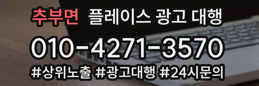 추부면 플레이스 광고 대행