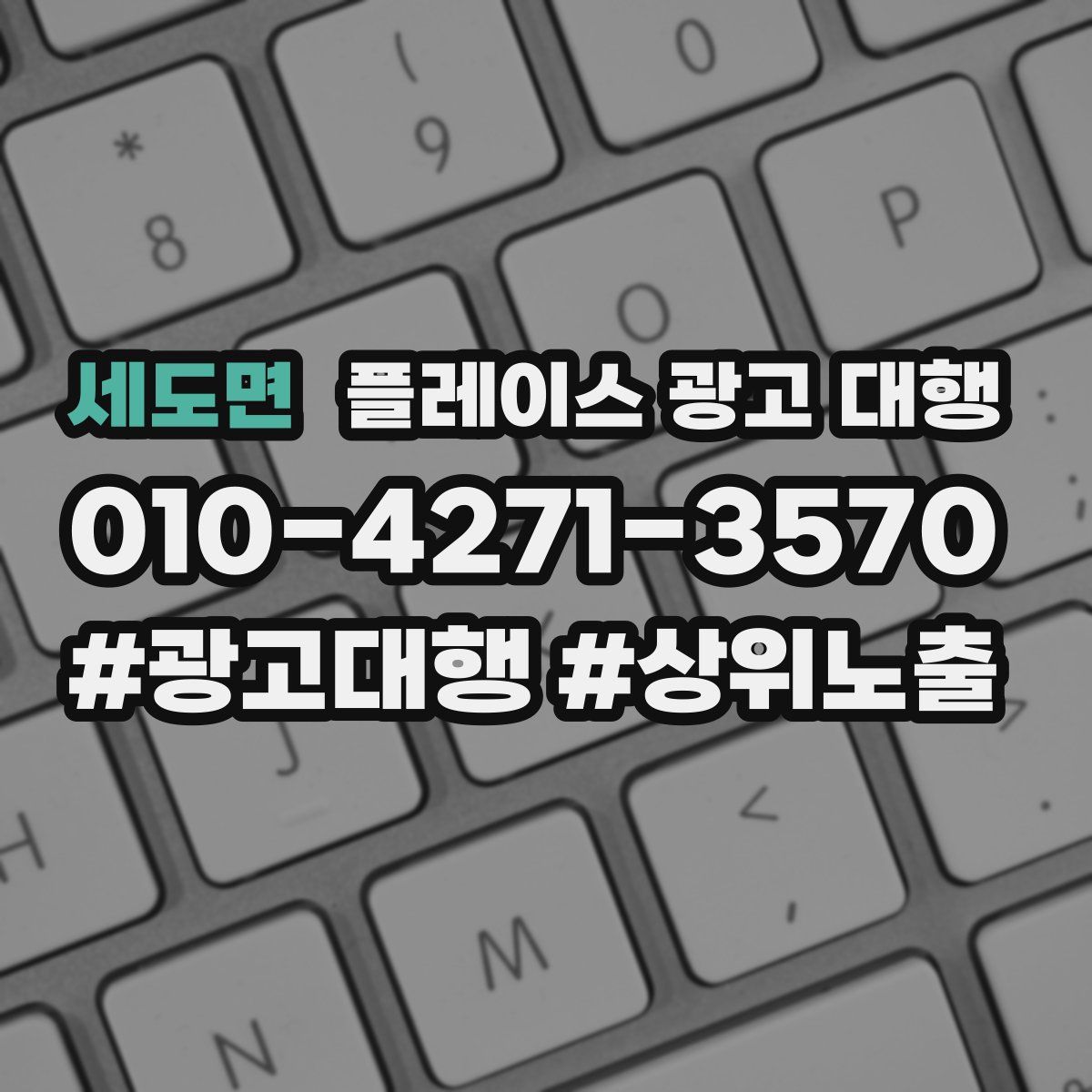 세도면 플레이스 광고 대행
