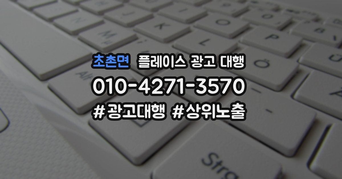 초촌면 플레이스 광고 대행