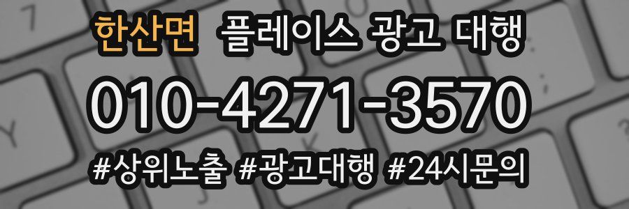 한산면 플레이스 광고 대행