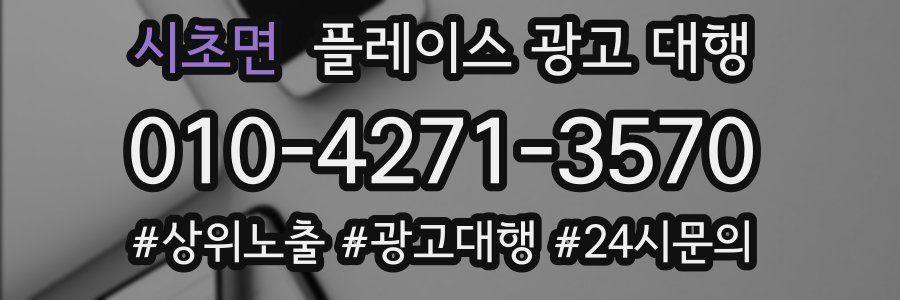 시초면 플레이스 광고 대행