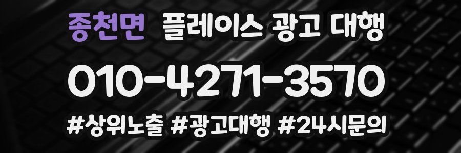 종천면 플레이스 광고 대행
