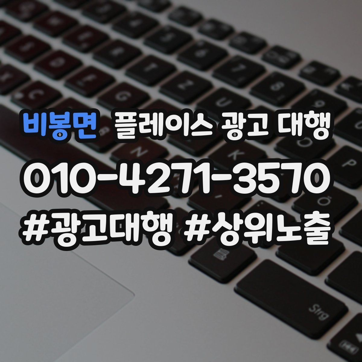 비봉면 플레이스 광고 대행