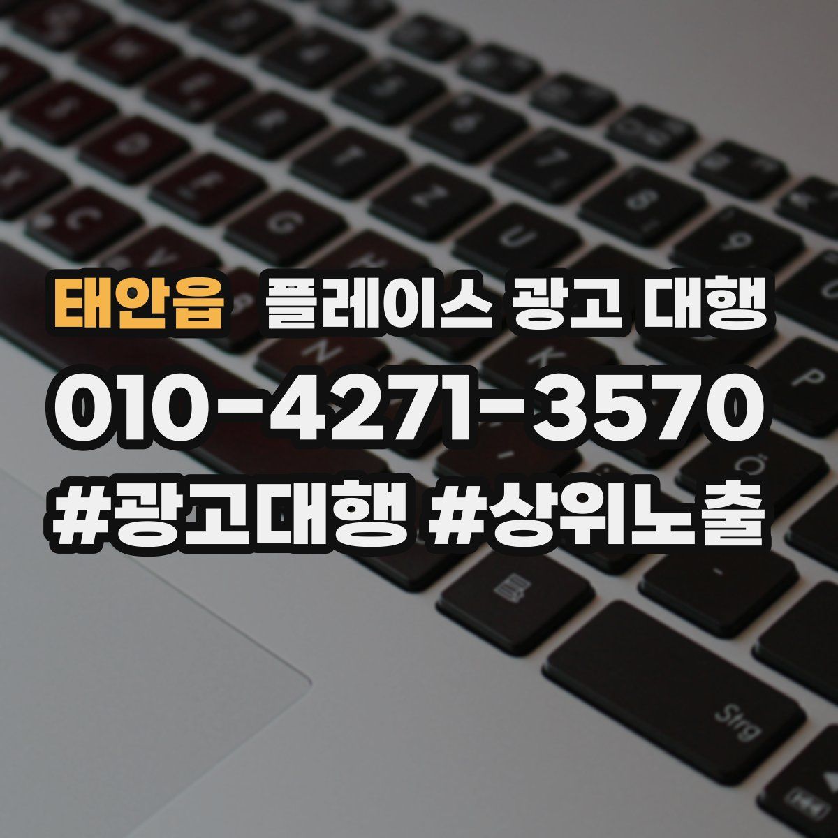 태안읍 플레이스 광고 대행