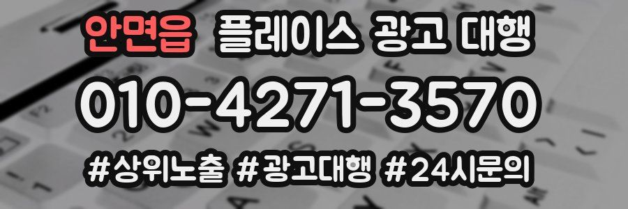 안면읍 플레이스 광고 대행