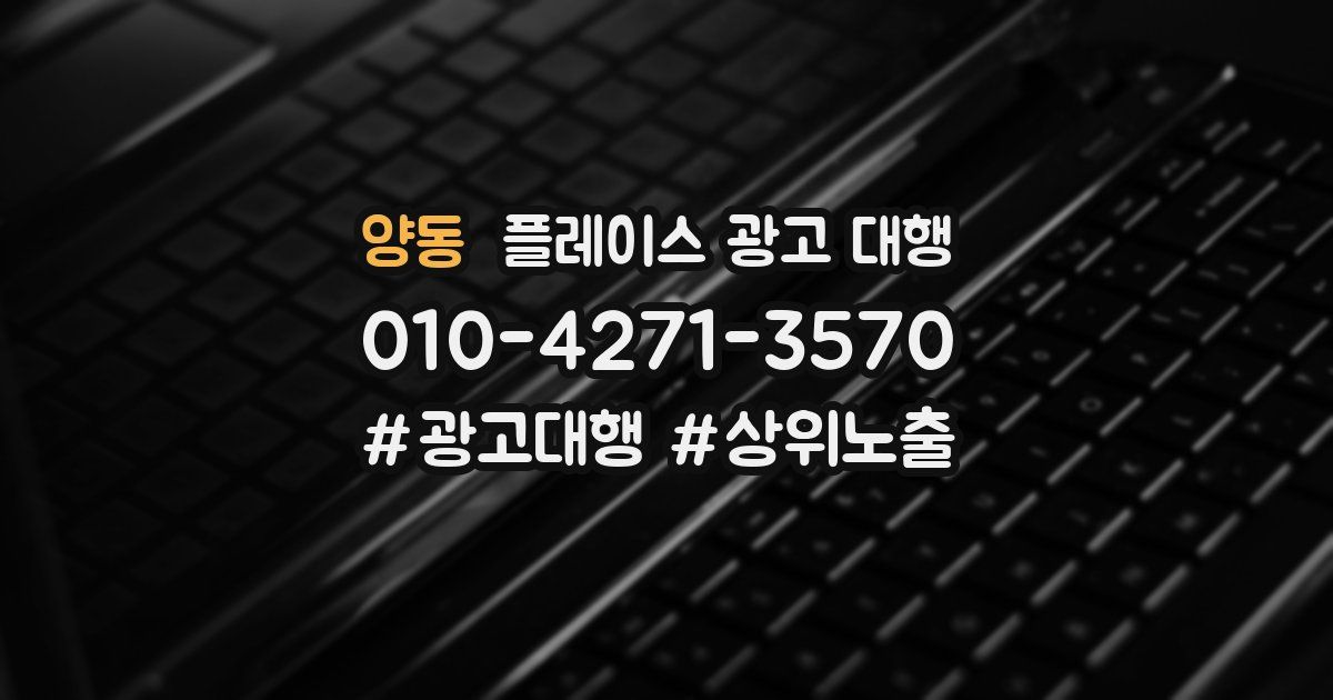 양동 플레이스 광고 대행