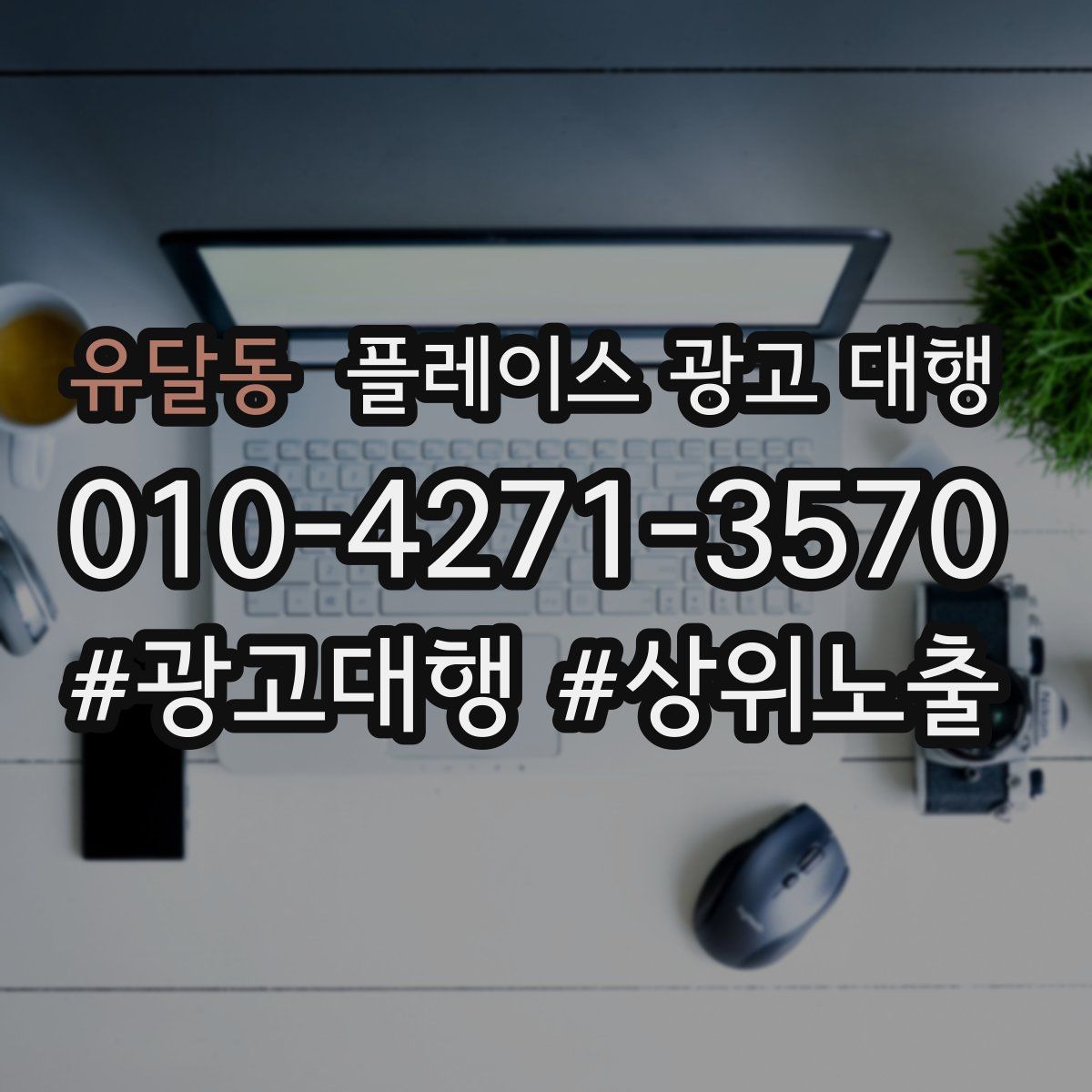 유달동 플레이스 광고 대행