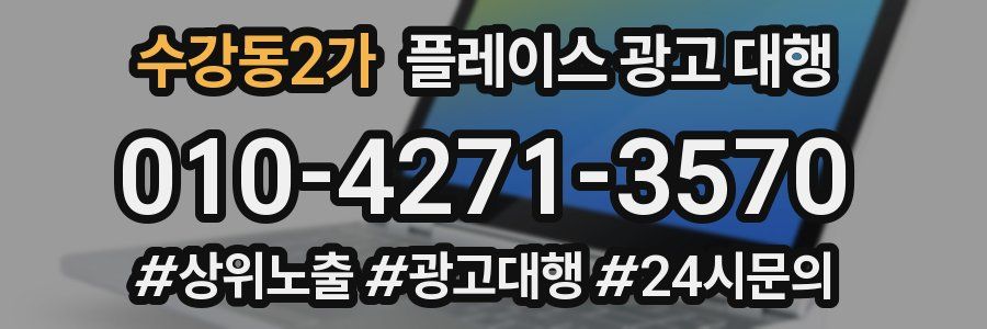 수강동2가 플레이스 광고 대행