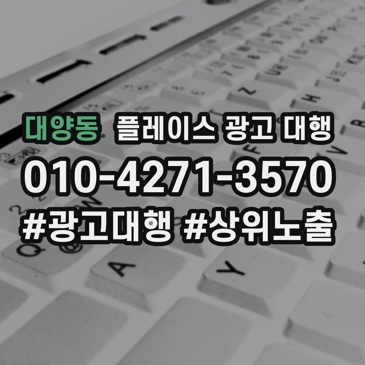 대양동 플레이스 광고 대행