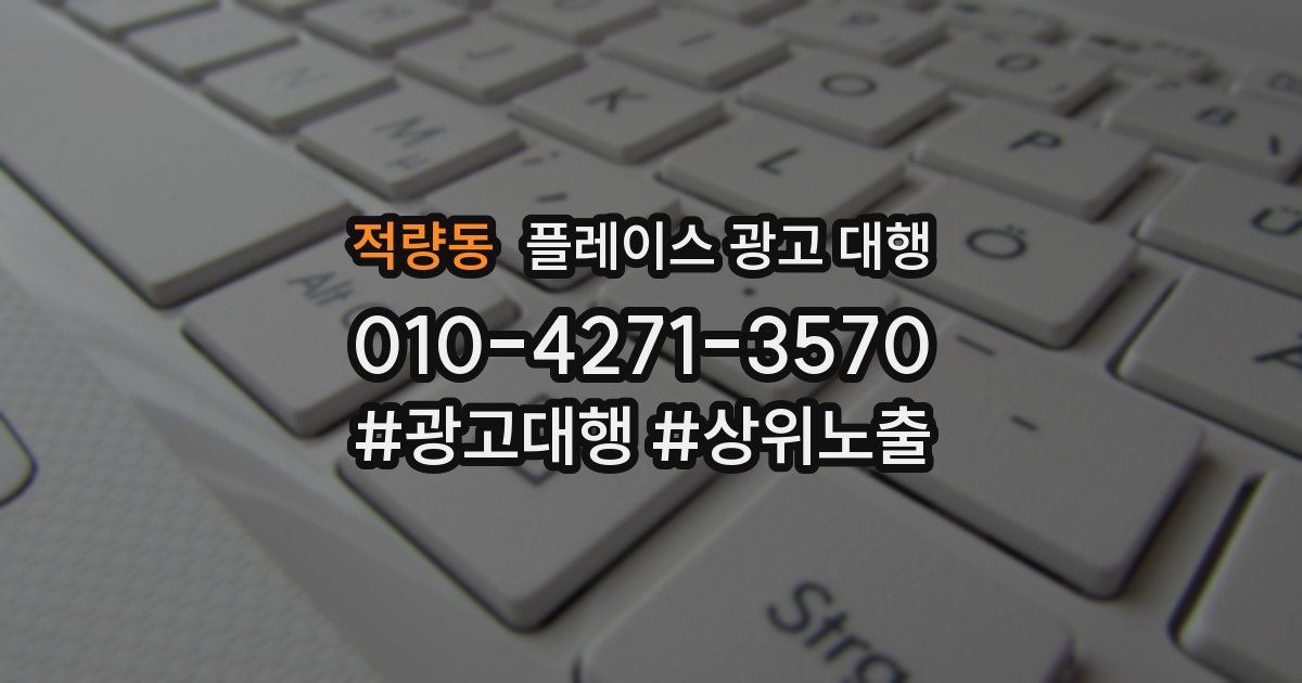 적량동 플레이스 광고 대행