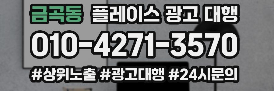 금곡동 플레이스 광고 대행