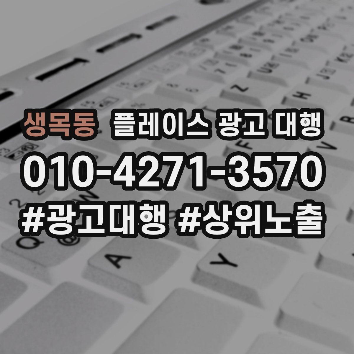 생목동 플레이스 광고 대행 성과가 달라지는 운영 방식
