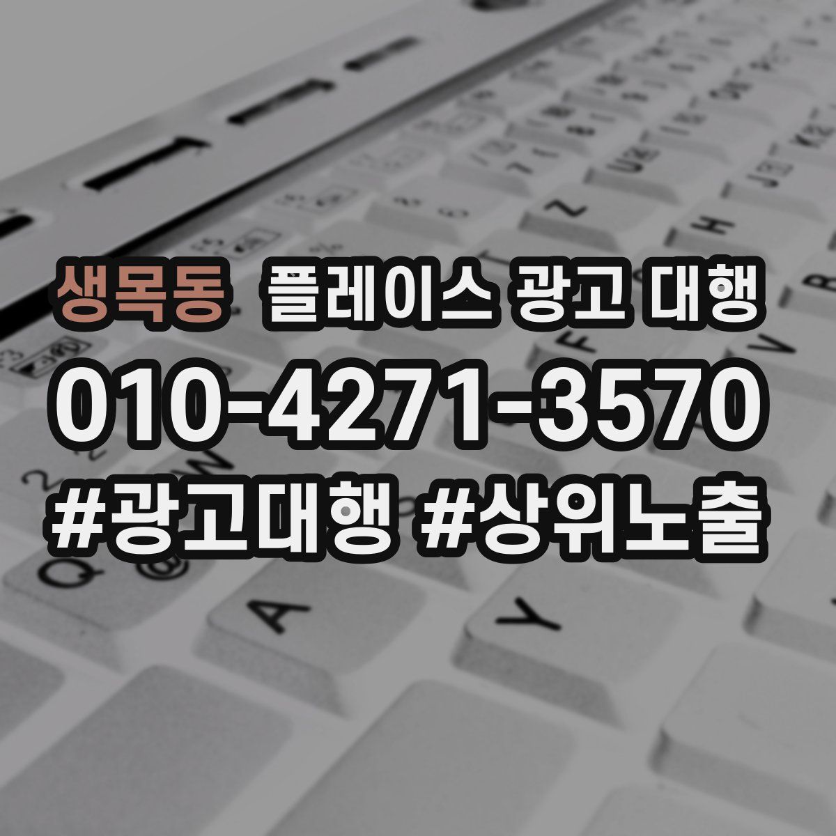 생목동 플레이스 광고 대행