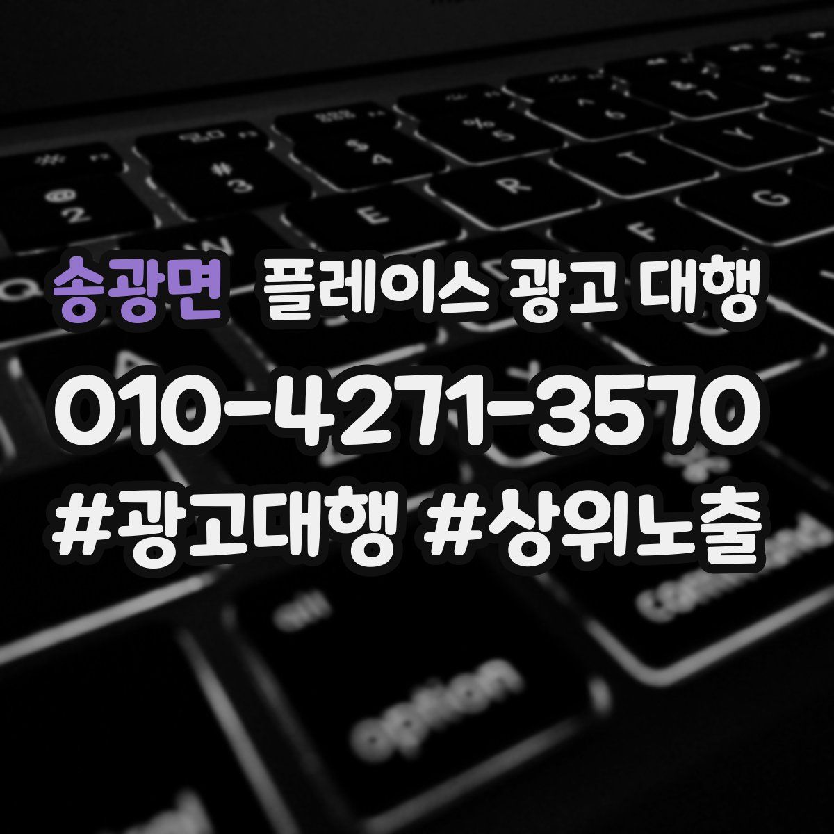 송광면 플레이스 광고 대행