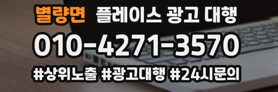 별량면 플레이스 광고 대행