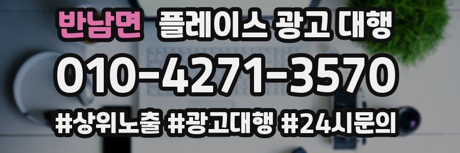 반남면 플레이스 광고 대행