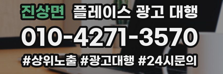 진상면 플레이스 광고 대행