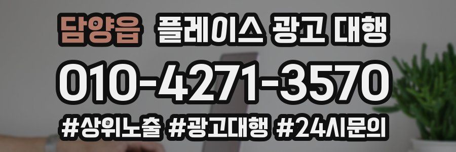 담양읍 플레이스 광고 대행