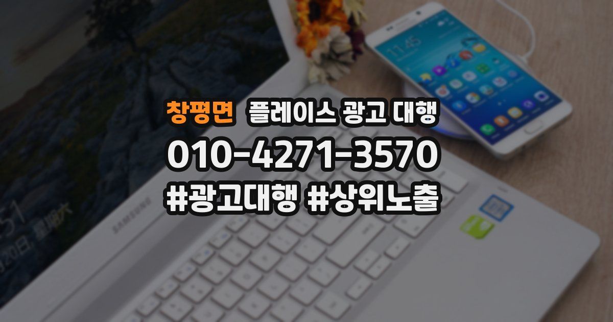 창평면 플레이스 광고 대행