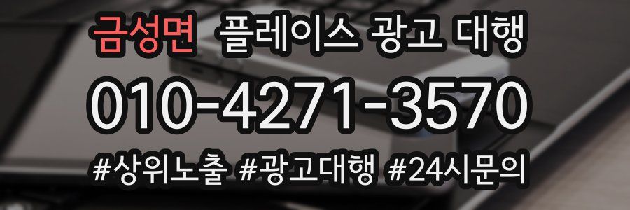 금성면 플레이스 광고 대행