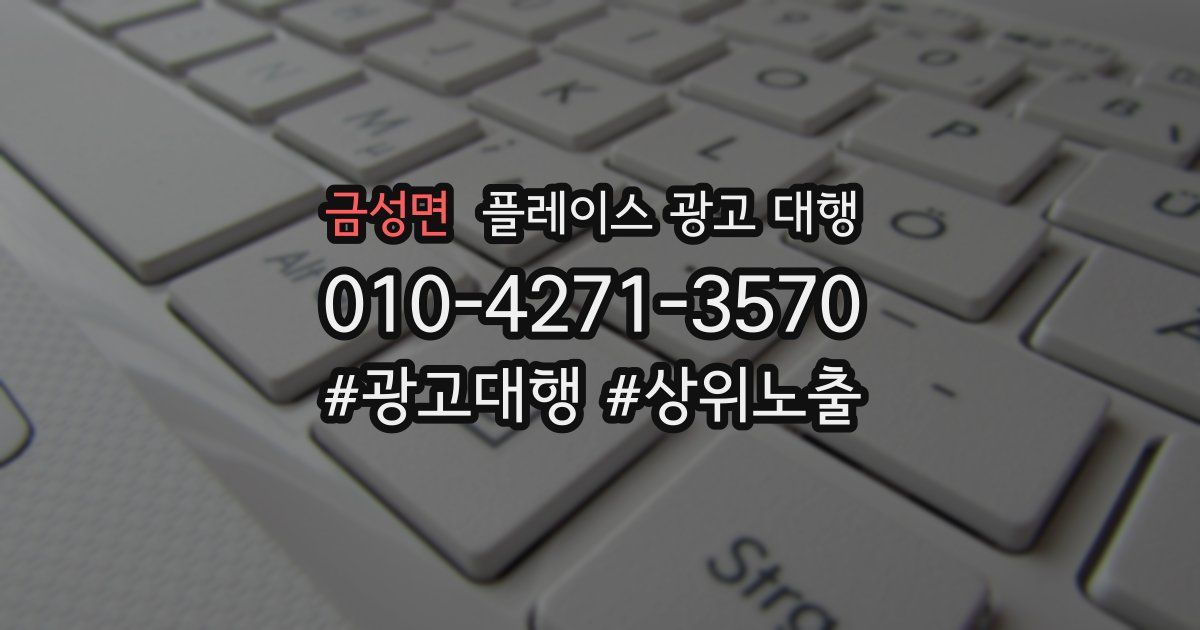 금성면 플레이스 광고 대행