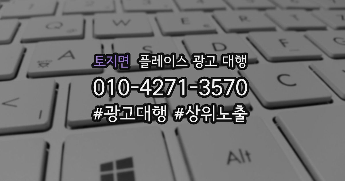 토지면 플레이스 광고 대행