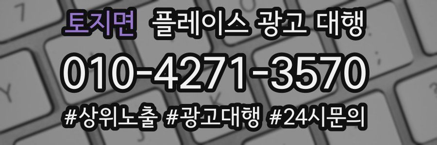 토지면 플레이스 광고 대행