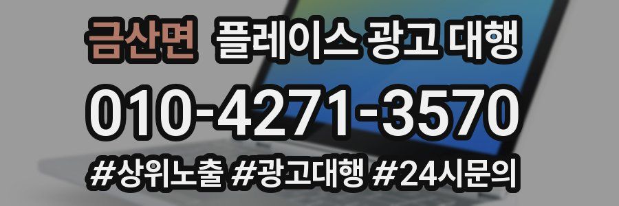 금산면 플레이스 광고 대행