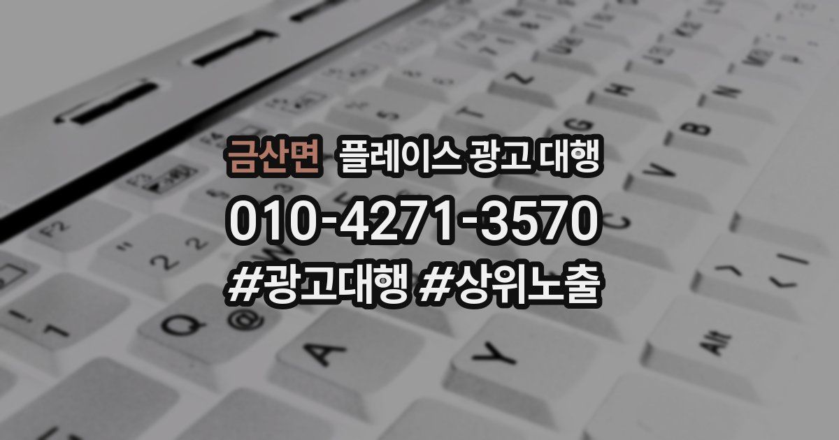 금산면 플레이스 광고 대행